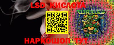 гидропоника Кингисепп
