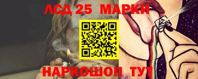 гидропоника Кингисепп