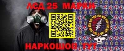 гидропоника Кингисепп