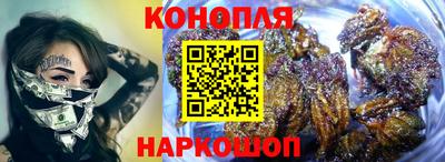 гидропоника Кингисепп