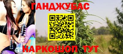 гидропоника Кингисепп
