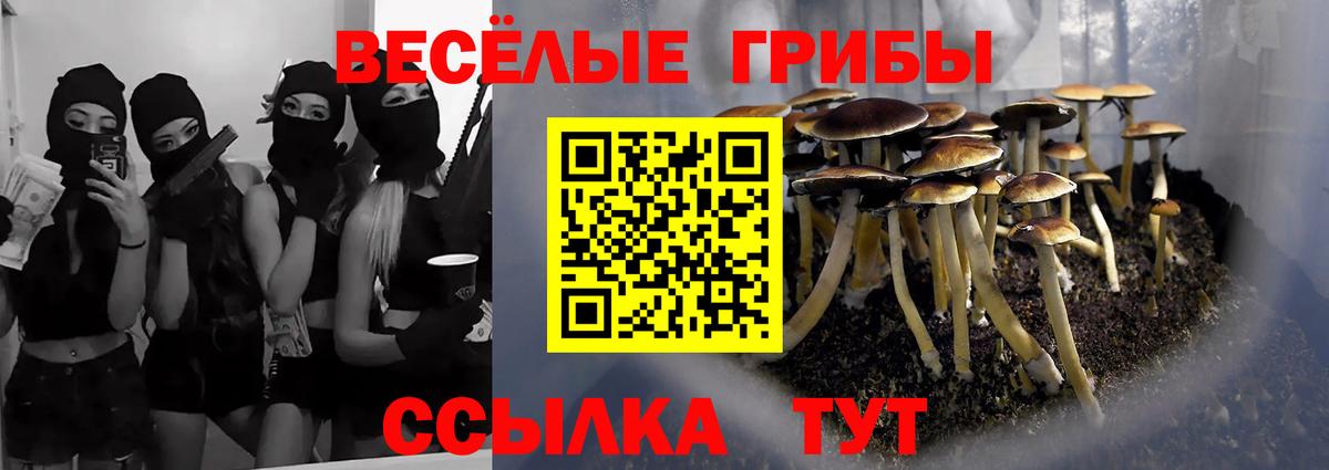 Галлюциногенные грибы мицелий Кудрово